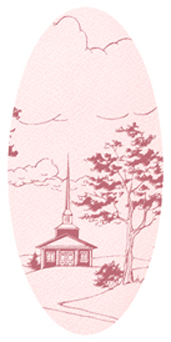 DASOV 560 PK PK Church on Hill Pink Pink